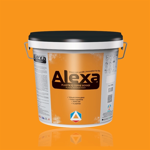 Plastik İç Cephe Boyası